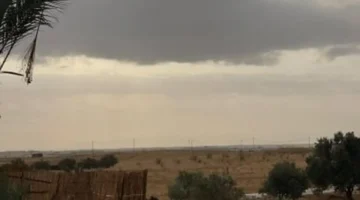 تحذير الأرصاد.. رياح مثيرة للرمال بسرعة 40 كم في الساعة تضرب البلاد